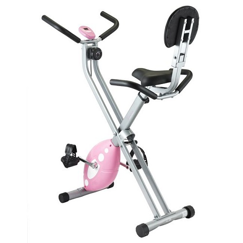 Sunny Magnetic Folding Exercise Bike